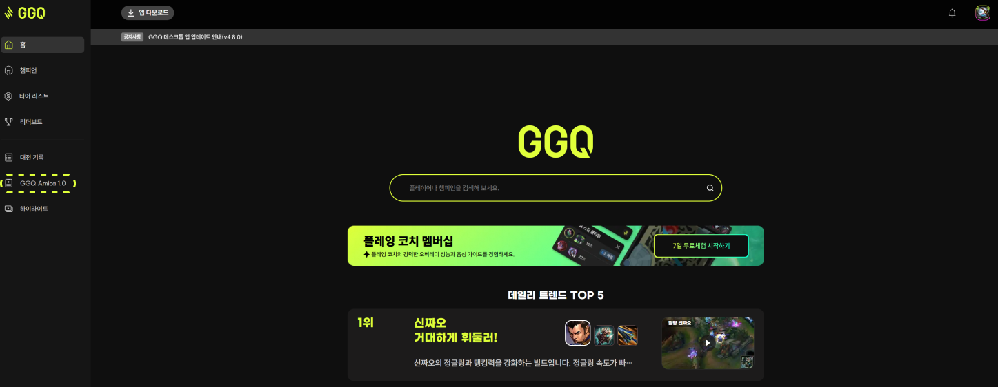 ggqamica_4